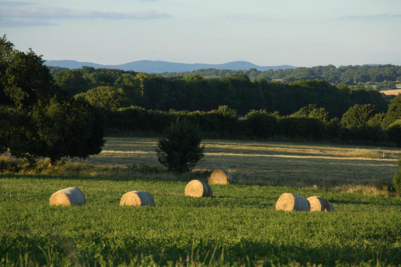 Domaine De Savigny Bed & Breakfast Saint-Saulge Bagian luar foto